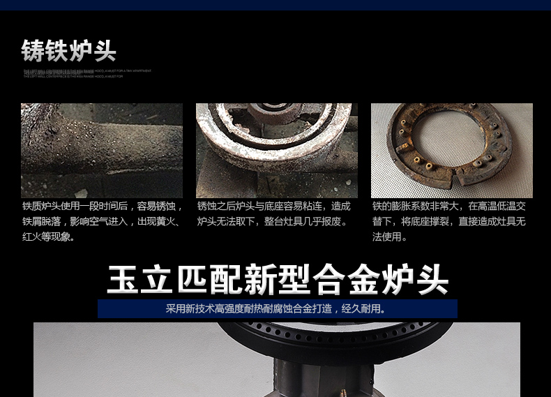 300B2--图1_02.jpg